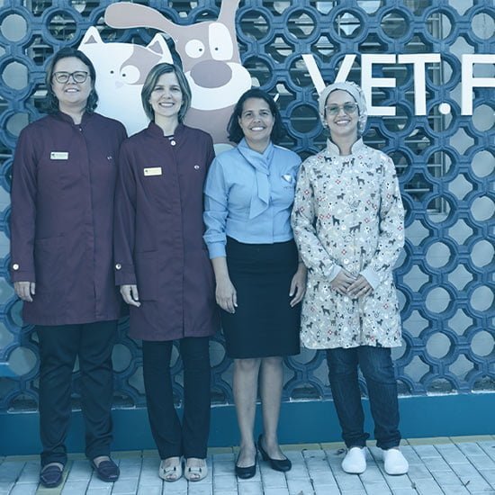 Equipe VetFace Clínica Veterinária