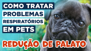 a-estafilectomia-ou-redução-do-palato-para-tratar-problemas