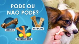 ossos-petiscos-e-brinquedos