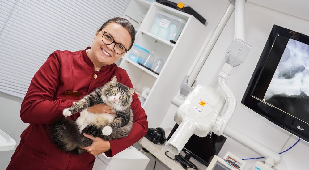 agendamento de consulta e exames dentários com dra mariana ramos da clinica vetface boa viagem recife